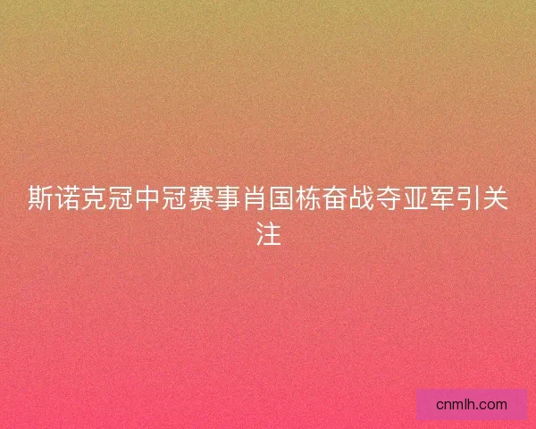 斯诺克冠中冠赛事肖国栋奋战夺亚军引关注