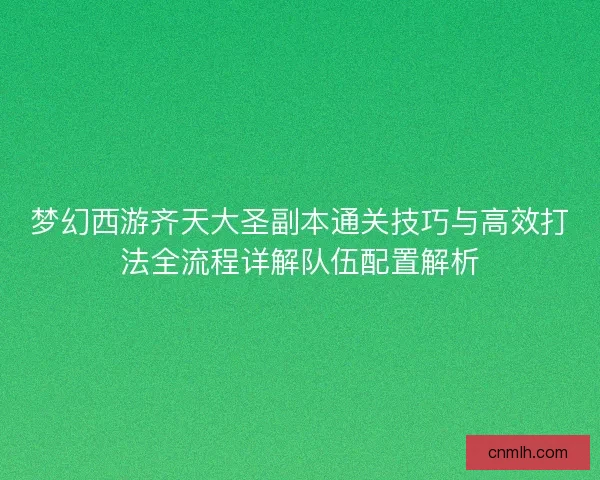 梦幻西游齐天大圣副本通关技巧与高效打法全流程详解队伍配置解析