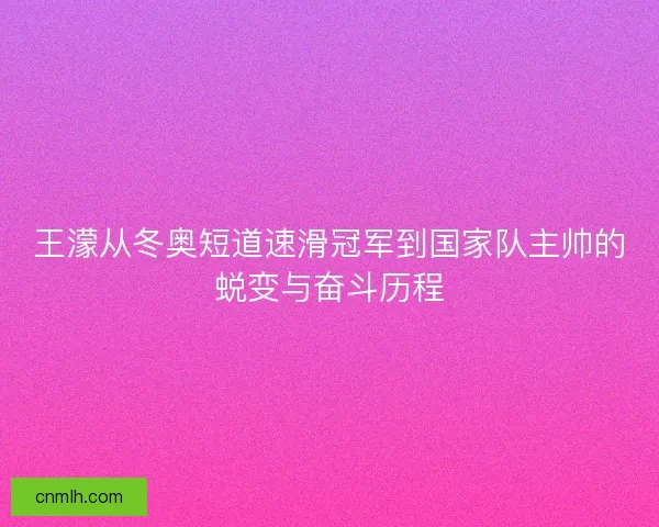 王濛从冬奥短道速滑冠军到国家队主帅的蜕变与奋斗历程